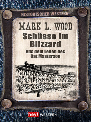 cover image of Schüsse im Blizzard